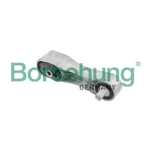 B12909 Borsehung