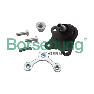 B18696 Borsehung