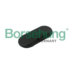 B18496 Borsehung
