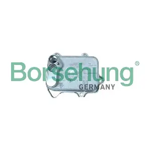 B10883 Borsehung