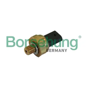 B11844 Borsehung