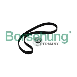 Borsehung B10219