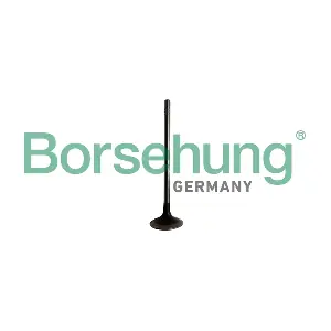 B10329 Borsehung