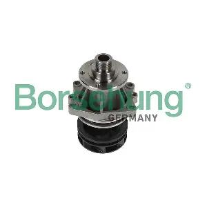 B11217 Borsehung
