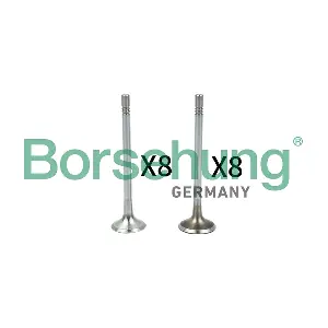 B18629 Borsehung