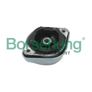 B12236 Borsehung