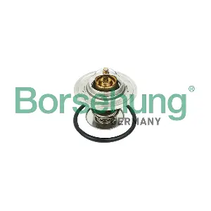 B18268 Borsehung
