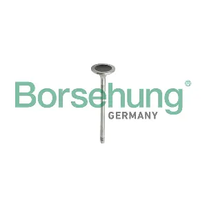Borsehung B10343