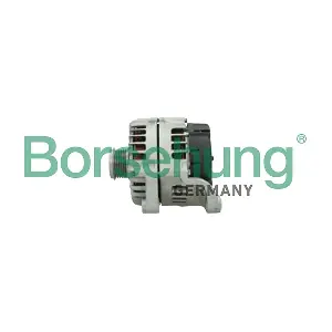B13011 Borsehung