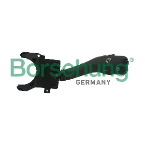 B12423 Borsehung