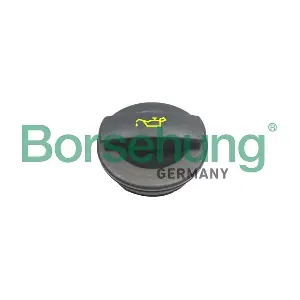 Borsehung B10669