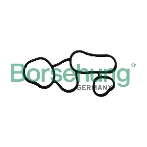 B10621 Borsehung