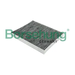 Borsehung B12799