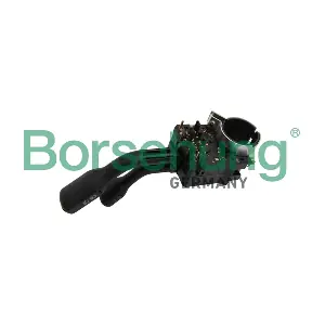 B17952 Borsehung
