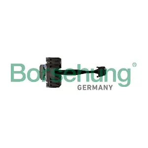 B12370 Borsehung