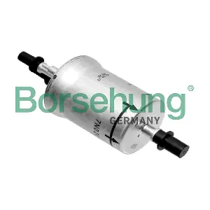 B18469 Borsehung