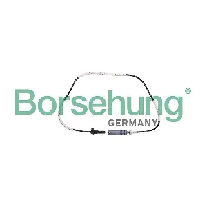 B13103 Borsehung