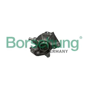 B18801 Borsehung