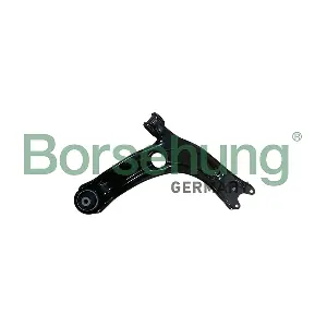Borsehung B10861