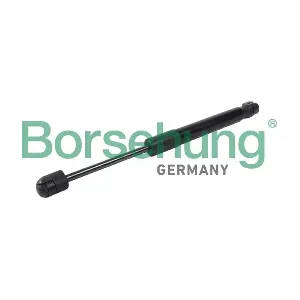 B12058 Borsehung