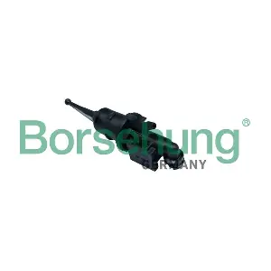 B17868 Borsehung