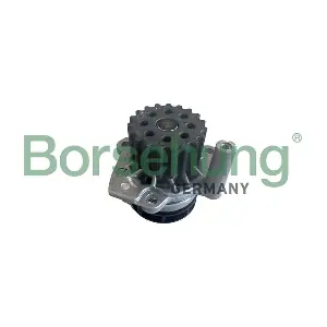 B11212 Borsehung