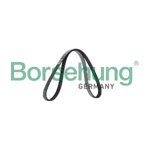 Borsehung B12385