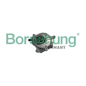 Borsehung B18775