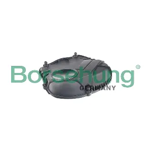 B18676 Borsehung