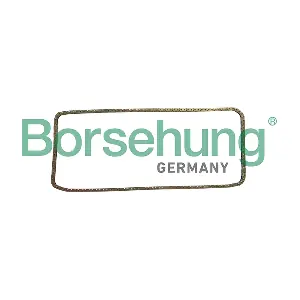 B1C029 Borsehung