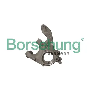 B12114 Borsehung