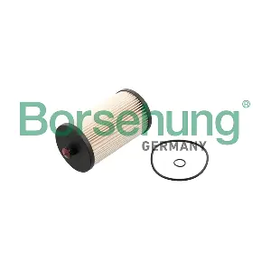 Borsehung B10522