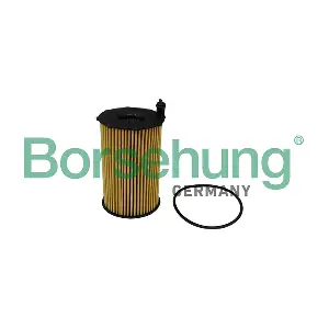 B10540 Borsehung