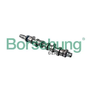 B11323 Borsehung
