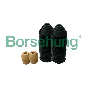 B10021 Borsehung