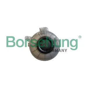 Borsehung B11941