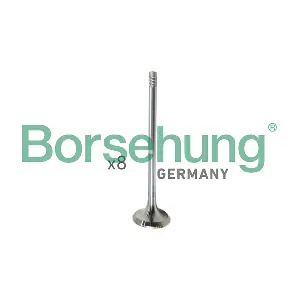Borsehung B10322