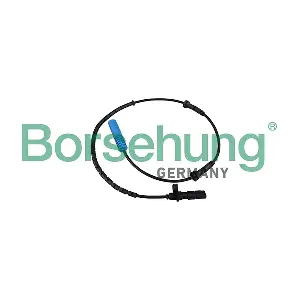 B13116 Borsehung