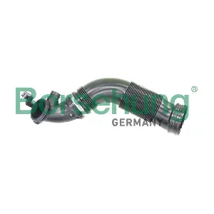 B12325 Borsehung