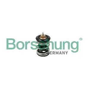 Borsehung B18261