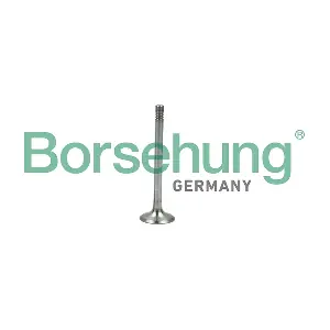 B19005 Borsehung