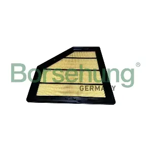 B12452 Borsehung