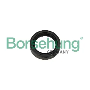 Borsehung B12192