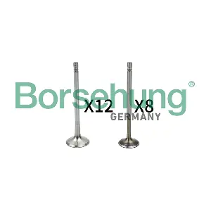 B18635 Borsehung