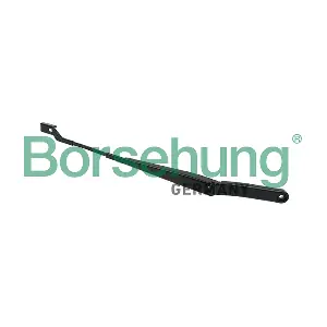 B11468 Borsehung