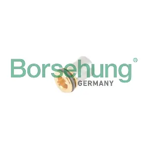 Borsehung B12241