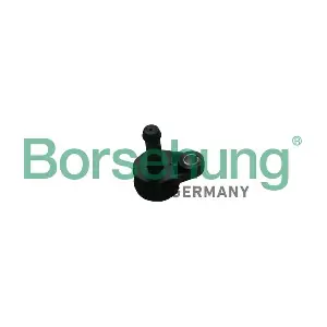 B11999 Borsehung