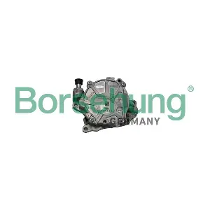 Borsehung B18799