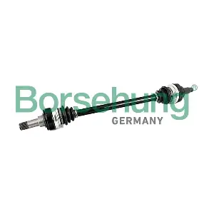 Borsehung B12488