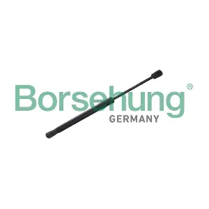 Borsehung B12474